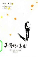 美国啊!美国
