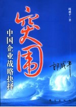 突围 中国企业战略抉择