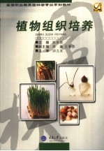 植物组织培养