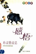 青春文学 感悟 心灵的贞洁