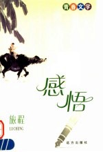 青春文学 感悟 旅程
