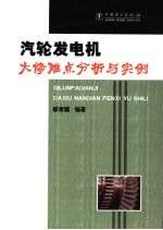汽轮发电机大修难点分析与实例