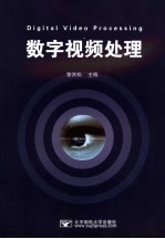 数字视频处理