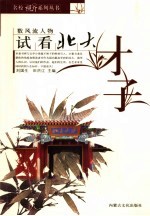 试看北大才子