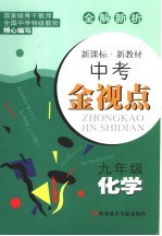 中考金视点 九年级化学