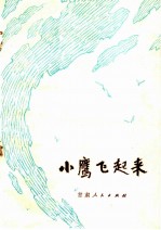 小鹰飞起来