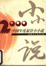 2000中国年度最佳小小说