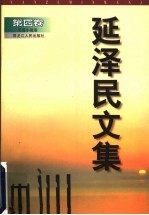 延泽民文集 第4卷 长篇小说卷