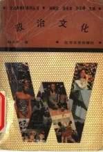 政治文化 心态·观念·价值及其演进