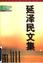 延泽民文集 第9卷 回忆录卷