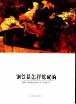 钢铁是怎样练成的 第2版