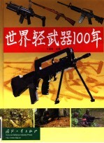 世界轻武器100年