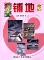 精美铺地 2