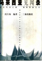 马来西亚见闻录 文化风俗之旅 商贾贸易之行