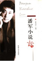 潘军小说论