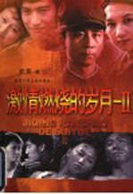 激情燃烧的岁月 2