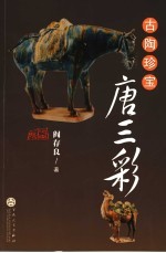 古陶珍宝唐三彩
