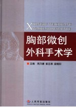 胸部微创外科手术学