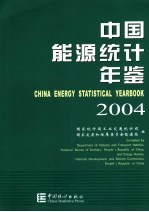 中国能源统计年鉴 2004 中英文本