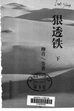 狠透铁 下 第2版