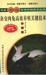 杂交肉兔养殖关键技术 彩插版