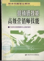 营销师技能 高级营销师技能
