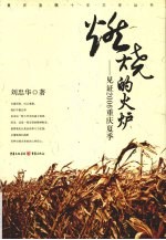 燃烧的火炉 见证2006重庆夏季