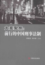 大案聚焦 前行的中国刑事法制