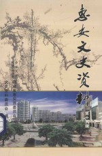 惠安文史资料 第19辑