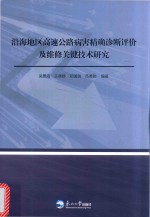 沿海地区高速公路病害精确诊断评价及维修关键技术研究