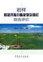 岩样核磁共振分析及复杂储层综合评价