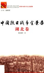 中国抗日战争全景录 湖北卷