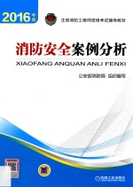 注册消防工程师资格考试辅导教材 消防安全案例分析 2016版