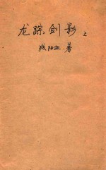龙踪剑影 上