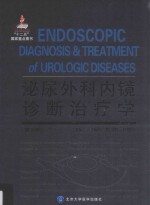 泌尿外科内镜诊断治疗学 第2版
