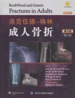 洛克伍德-格林 成人骨折 第2卷 英文 第8版