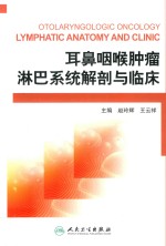耳鼻咽喉肿瘤淋巴系统解剖与临床