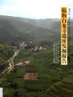 临朐白龙寺遗址发掘报告
