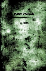 FUZZY SYSTEMS