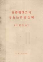 首都钢铁公司专业经济责任制 计划专业