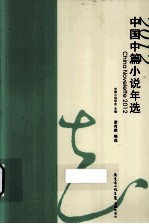 中国中篇小说年选 2012 2012
