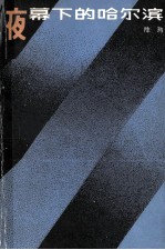 夜幕下的哈尔滨 上