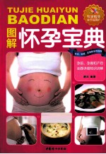 图解怀孕宝典