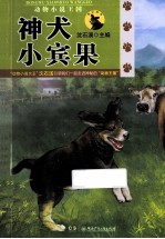 牧区地带 神犬小宾果