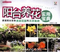 阳台养花实用宝典 全彩