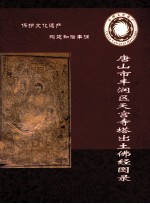 唐山市丰润区天宫寺塔出土佛经图录