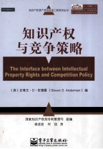 知识产权与竞争策略