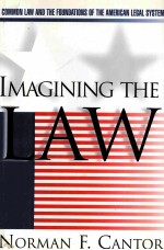 IMAGINING THE LAW