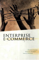 ENTERPRISE E-COMMERCE