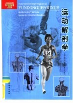 运动解剖学